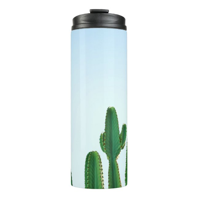 Termo Planta de cactus verdes en fondo blanco (Anverso)