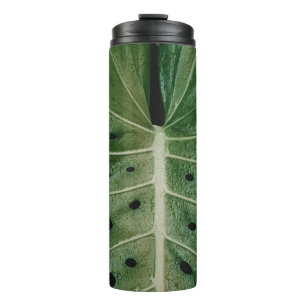 Termo Planta de hoja verde