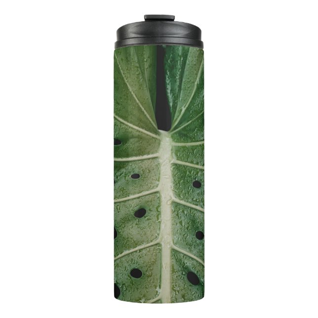 Termo Planta de hoja verde (Anverso)