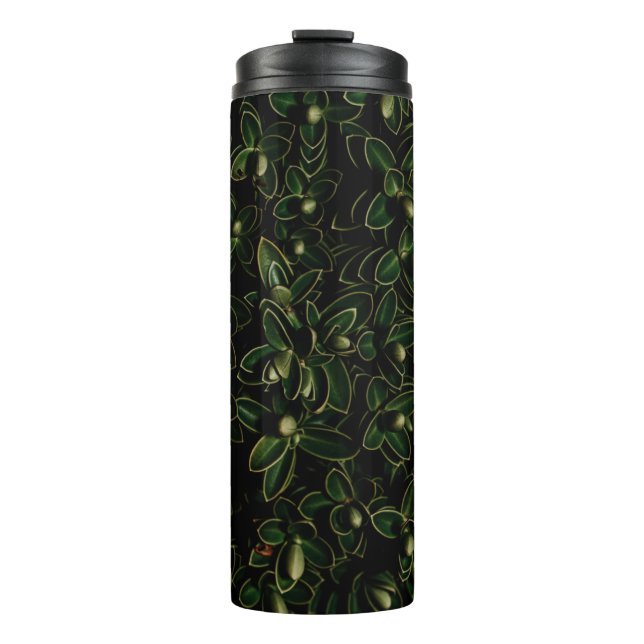 Termo Planta de hoja verde (Anverso)