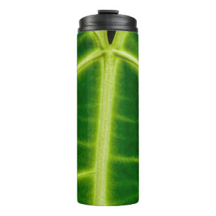 Termo Planta de hojas verdes