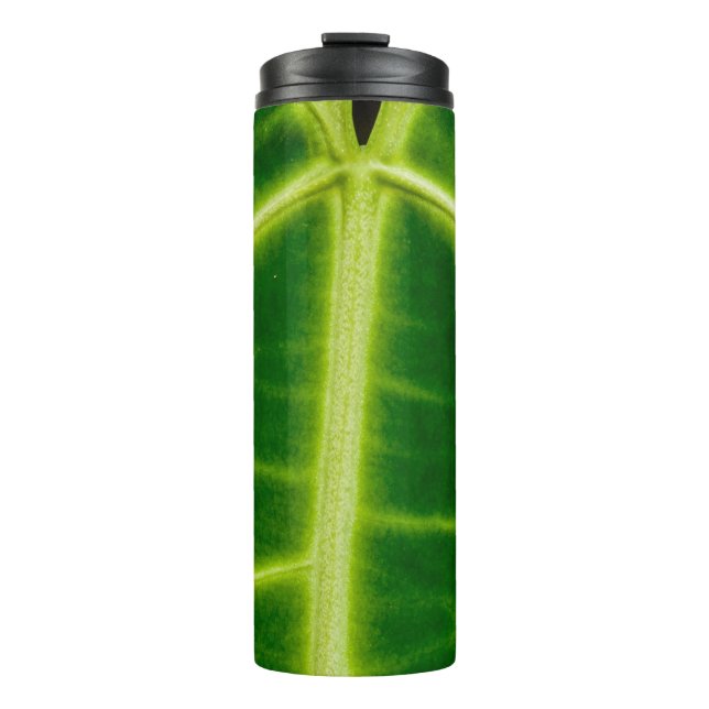 Termo Planta de hojas verdes (Anverso)