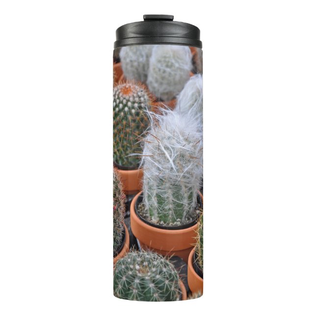 Termo Plantas de cactus (Anverso)