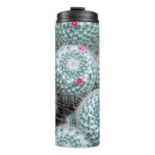Termo Plantas de cactus con flores rosadas muy pequeñas
