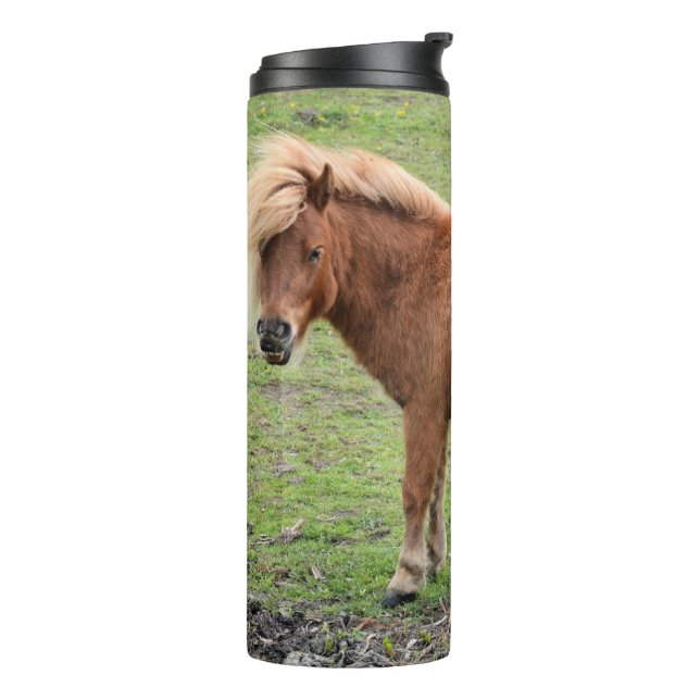 Termo Pony tumbler (Rotado hacia la izquierda)