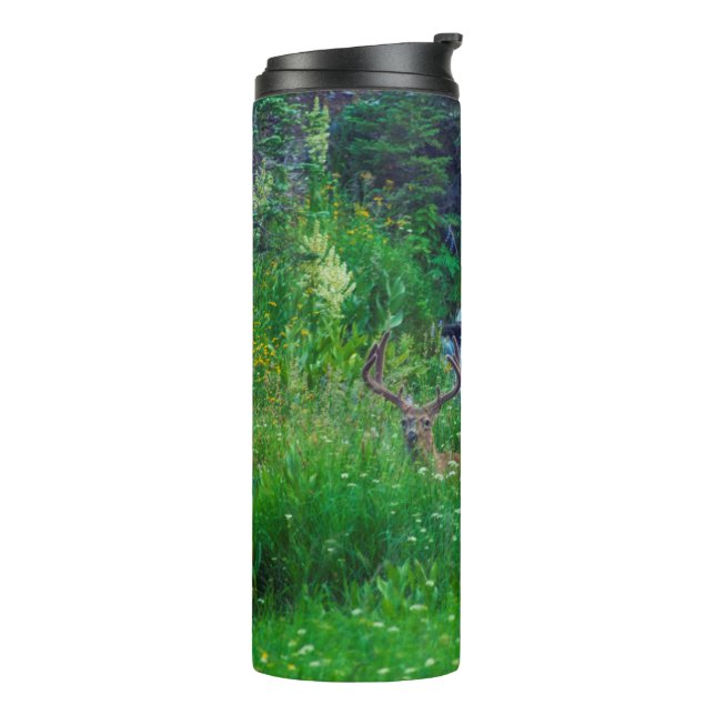 Termo Príncipe de la Selva (Rotado hacia la izquierda)