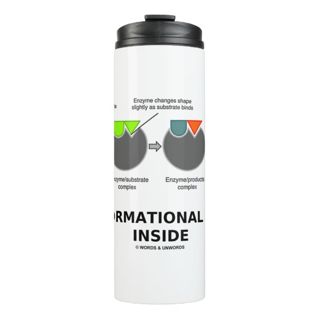 Termo Proceso de transformación dentro del sustrato enzi (Anverso)