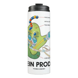 Termo Productor de proteínas Biología Síntesis de proteí
