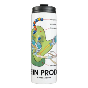 Termo Productor de proteínas Biología Síntesis de proteí