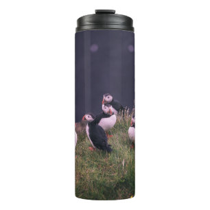 Termo Puffins atlánticos