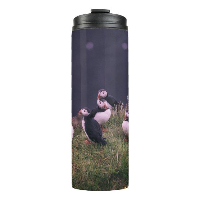 Termo Puffins atlánticos (Anverso)