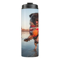 Pug jugando a pelota en la playa