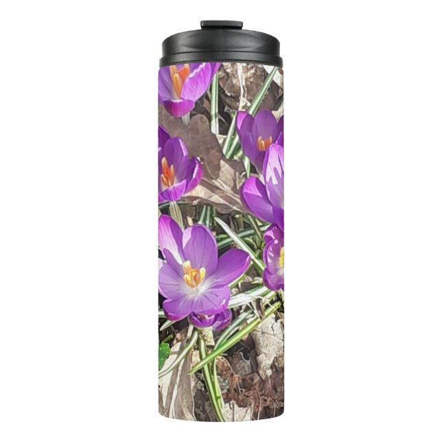 Termo Púrpura Crocus (Anverso)