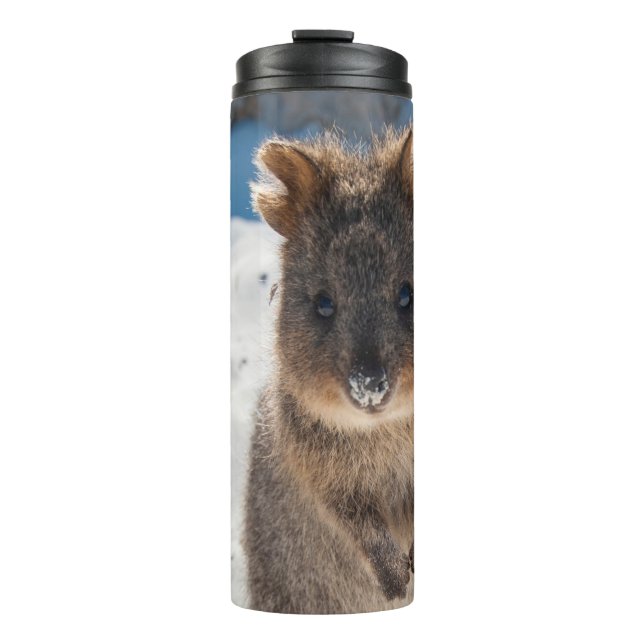 Termo Quokka - Cute Animal on the Beach Australia Blue (Anverso)