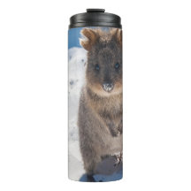 Quokka en la playa Australia, niñas con acento ros
