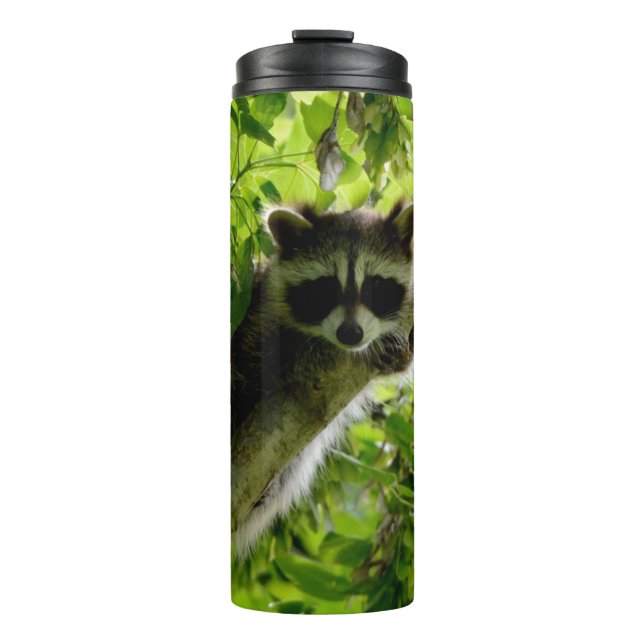 Termo Raccoon en el mapache gris mate de árbol verde (Anverso)