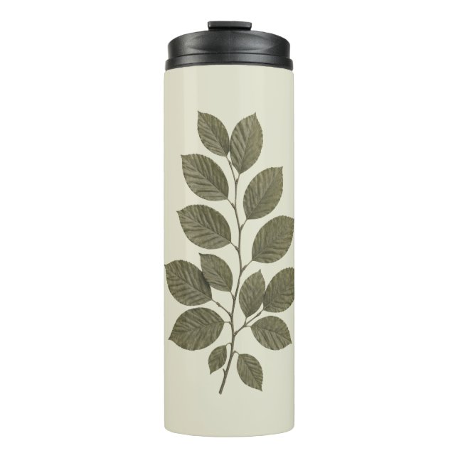 Termo Rama de haya verde vintage (Anverso)