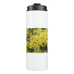 Termo Rama de mimosa