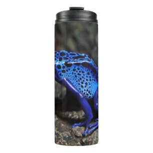 Termo Rana Dart de veneno azul, Rana azul brillante