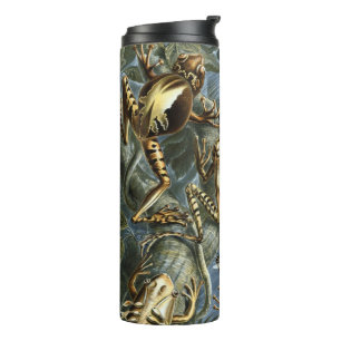 Termo Ranas y sapos vintage Batrachia por Ernst Haeckel