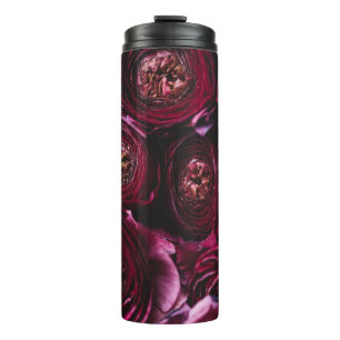Termo Ranunculus morado oscuro, floreciente acercamiento