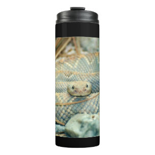 Termo Rattlesnake