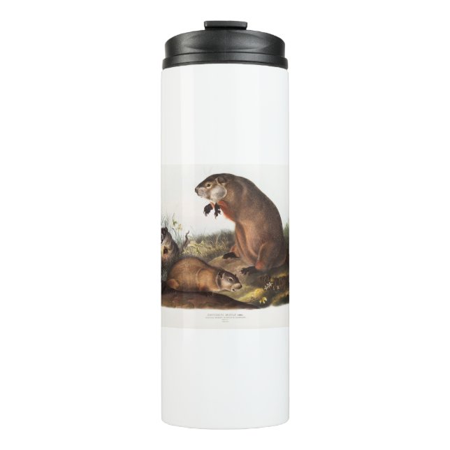 Termo Regalos Woodchuck Camping Deco (Anverso)