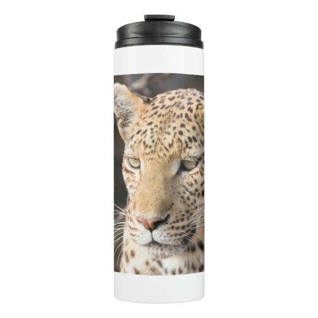 Termo Retrato de leopardo (Anverso)