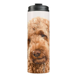Termo Retrato Goldendoodle Studio