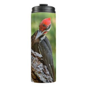 Termo Retrato impresionante de un pájaro carpintero pile