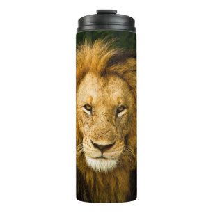 TERMO REY DE LEÓN EN LA JUNGLE