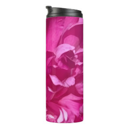 Termo Rhododendron Close-up Flower Plant Photo