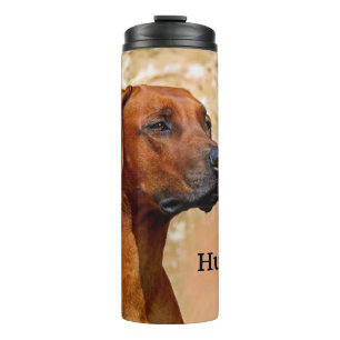 Termo Ridgeback Dog Rhodesia