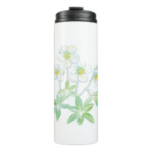 Termo rosa de navidades, Ilustracion Helleborus niger