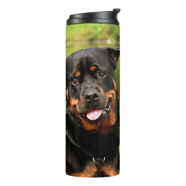 Termo Rottweiler Happy (Rotado hacia la izquierda)