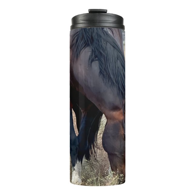 Termo S Steens Tumbler  (Anverso)