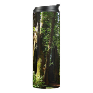 Termo Secuoyas y helechos en el Parque Nacional Redwood