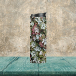 Termo Sedum Spathulifolium Suculum Succuloral