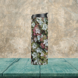 Termo Sedum Spathulifolium Suculum Succuloral