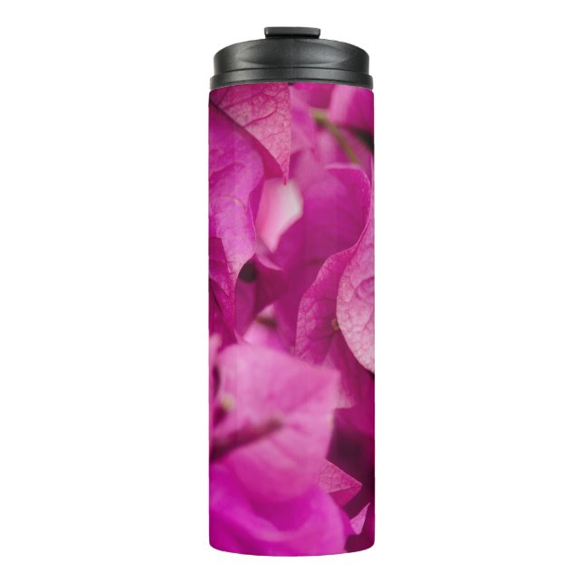 TERMO SELECTIVE FOCUS PHOTOGRAPHY OF PINK BOUGAINVILLEA (Anverso)