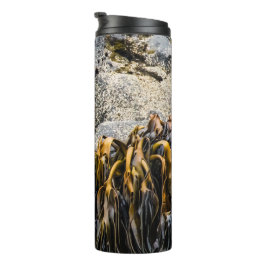 Termo Sello De Piel Joven En La Roca