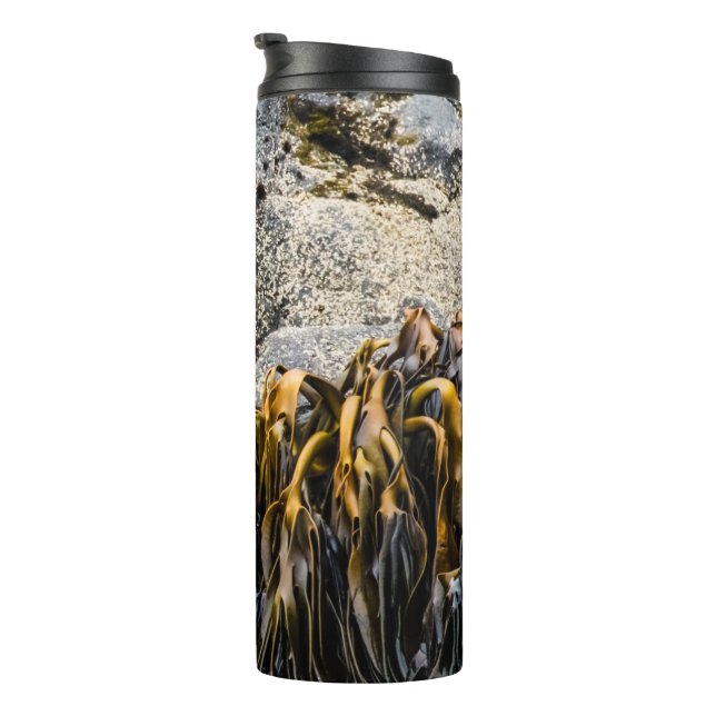 Termo Sello De Piel Joven En La Roca (Rotado hacia la derecha)