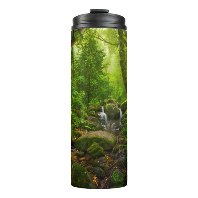 Termo Selva tropical asiática, bosque, medio ambiente (Anverso)