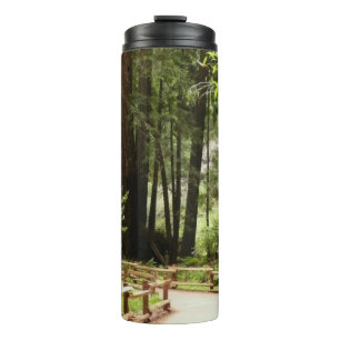 Termo Sendero de Muir Woods I Fotografía de la naturalez