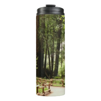 Termo Sendero de Muir Woods I Fotografía de la naturalez