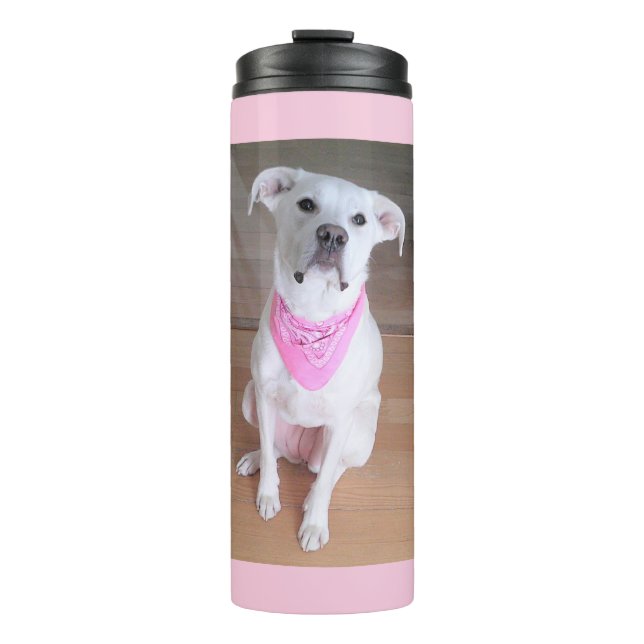 Termo Sentado de perros blancos y con una funda rosada (Anverso)