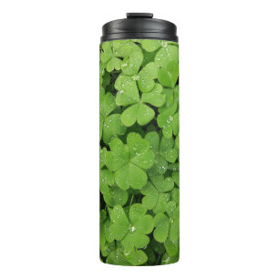 Termo Shamrock fresco verde, trébol de afortunados St P