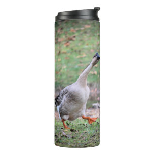 Termo Silly goose