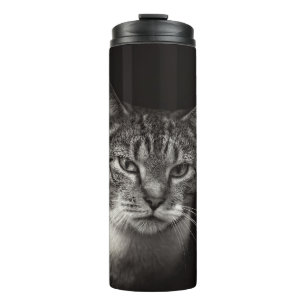 TERMO SILVER TABBY CAT