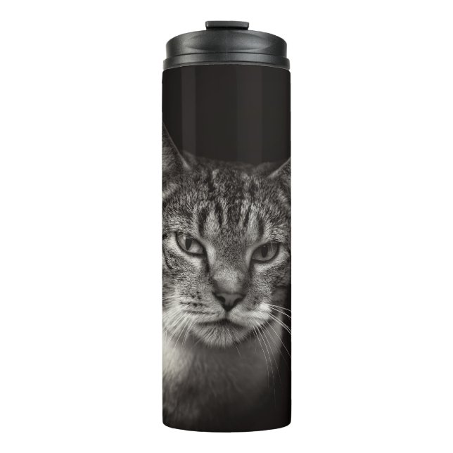 TERMO SILVER TABBY CAT (Anverso)